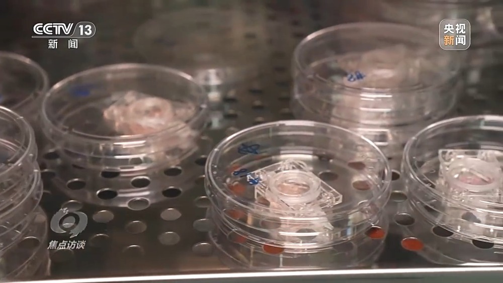 焦点访谈丨从地球到太空 一条快捷物流通道已搭建(图11)