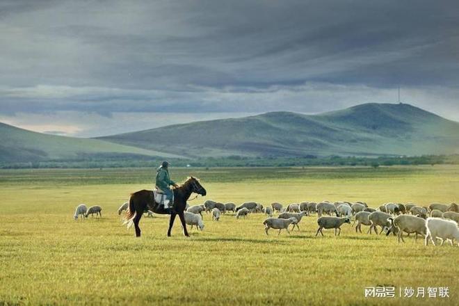 卫星直连物联网卡:破解通信盲区的创新路径(图4)